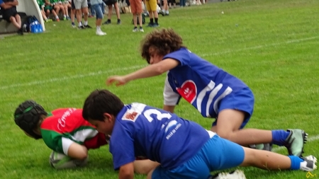 challenge pardo