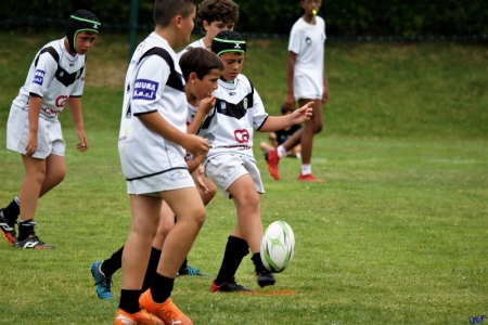 challenge pardo