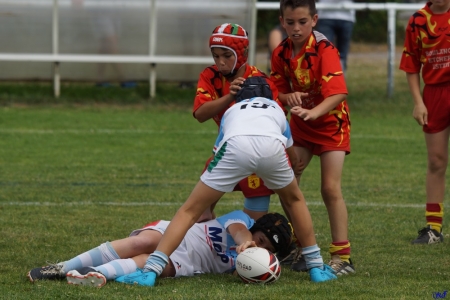 challenge pardo