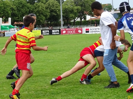 challenge pardo