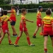 challenge pardo