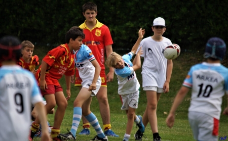 challenge pardo