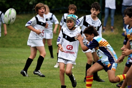 challenge pardo