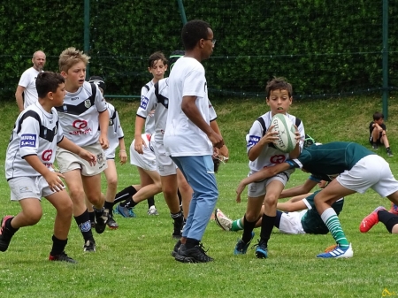 challenge pardo