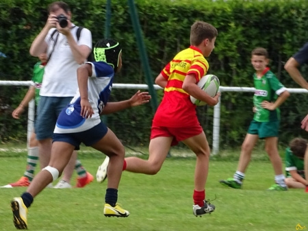 challenge pardo