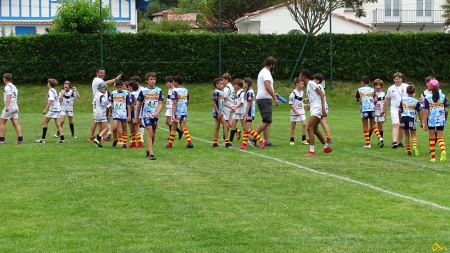 challenge pardo