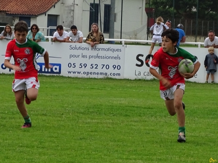 challenge pardo