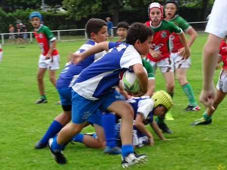 challenge pardo