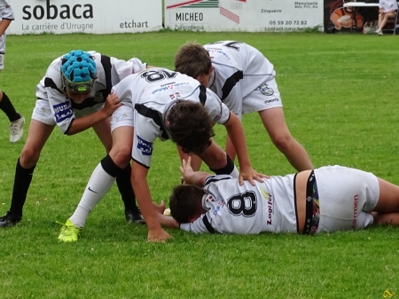challenge pardo