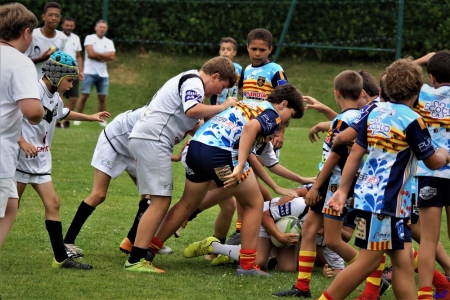 challenge pardo