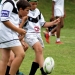 challenge pardo
