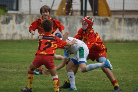 challenge pardo