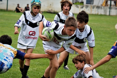 challenge pardo