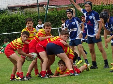 challenge pardo