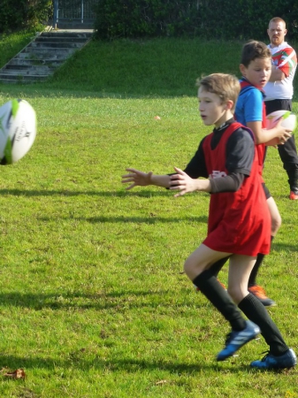 école de rugby