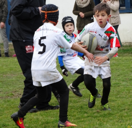 école de rugby