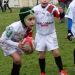 école de rugby