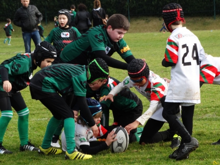 école de rugby