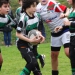 école de rugby