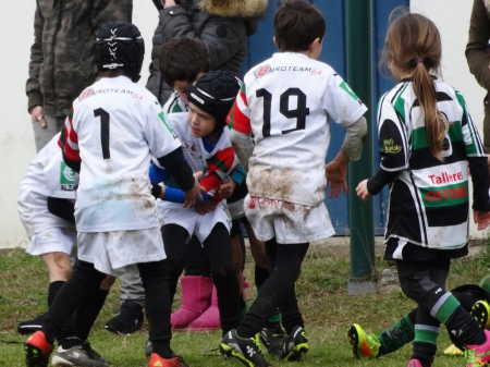 école de rugby