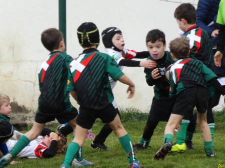 école de rugby