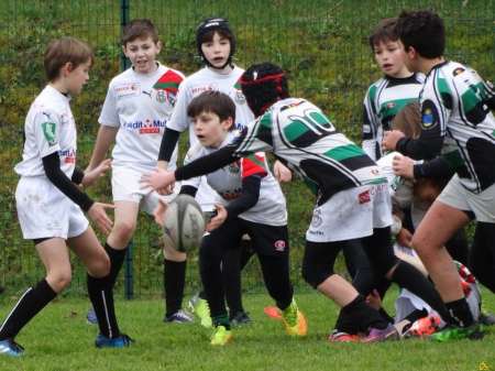 école de rugby