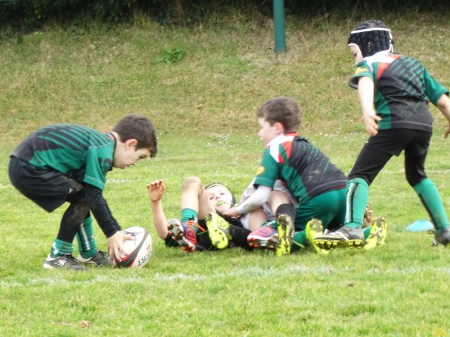 école de rugby