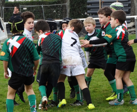 école de rugby