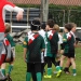 école de rugby