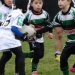 école de rugby