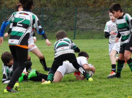 école de rugby