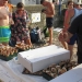 le beach 2018