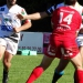 Hendaye-Niort